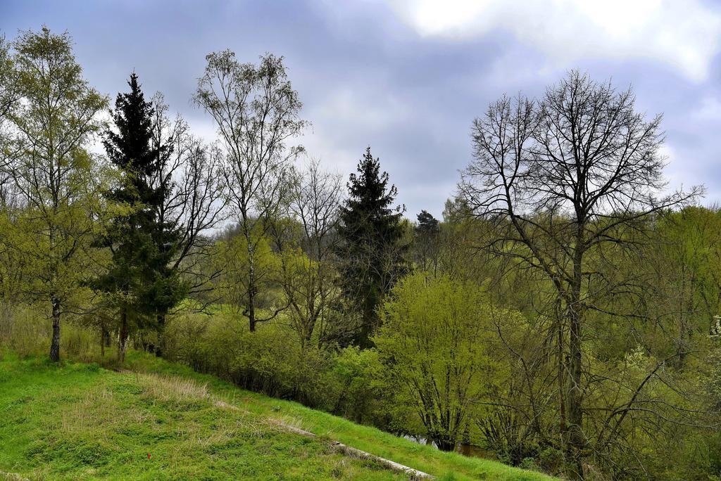 Holiday Home Turovec Tábor Dış mekan fotoğraf